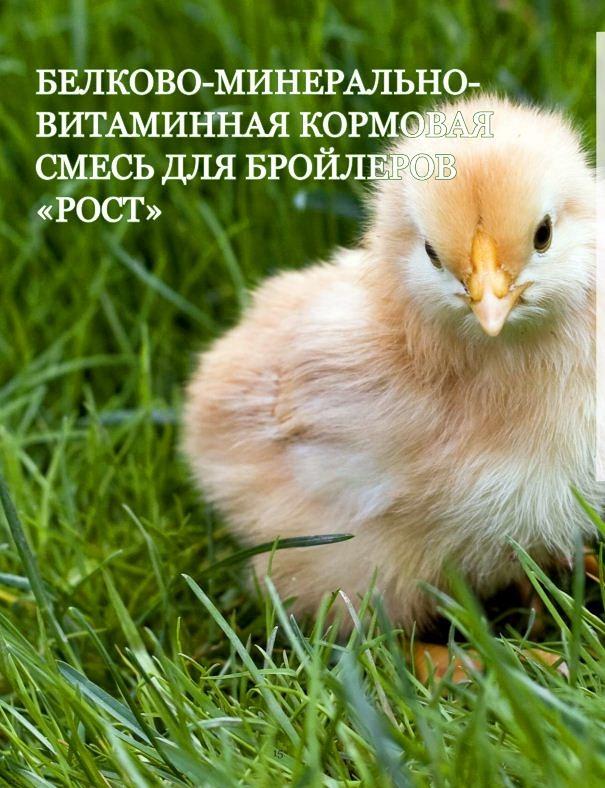 Кормовая смесь для птиц Кормовая смесь для птиц