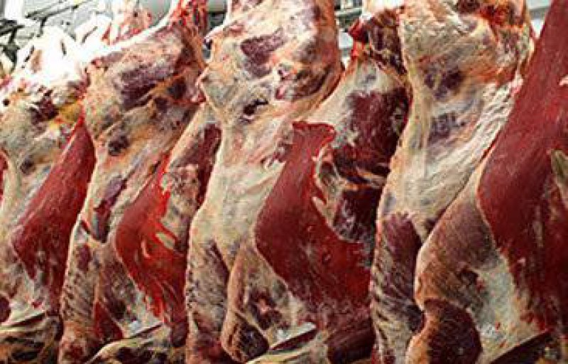 Мясо говядины в полутушах от 80 кг