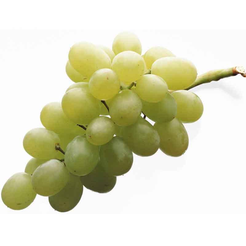 Виноград зеленый