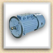 Электродвигатель МАП 421-4/8 ОМ1 ИРАК526.121-006-010 М101, БТ КЛ(П) 5,5 кВт 915 об./мин.