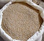 Крупа пшеничная фасовка по 50 кг