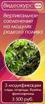 Курс обучения технологии создания вертикальных садов на фитомодулях редкого полива