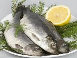Пеленгас, сельдь, барабулька, опт, купить рыбу оптом в Украине
