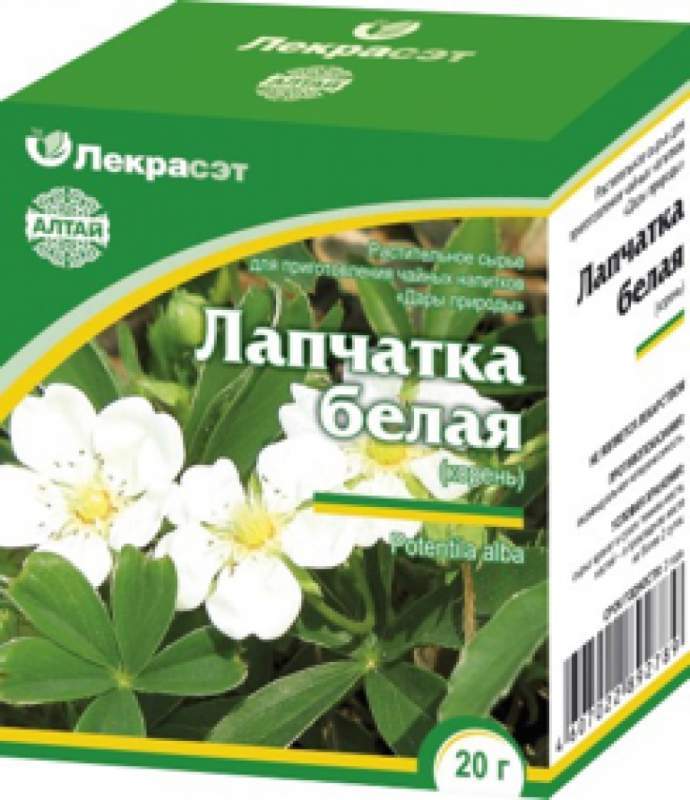 Лапчатка Белая Купить