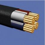 Электрический кабель ВВГНГ 4х4