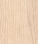 Дуб Паллада