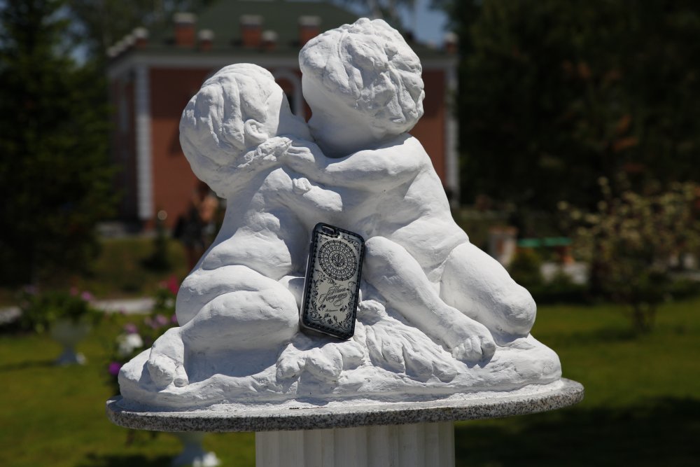 Чехол для iPhone 5 / 6 / 6 plus Gray Flower Чехол для iPhone 5 / 6 / 6 plus Gray Flower