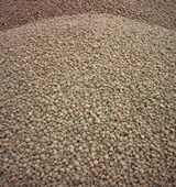 Керамзитовый песок