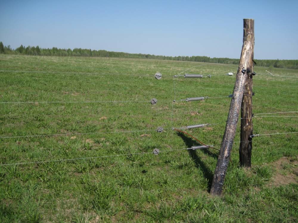 Электроизгороди для скота, животных, электропастух