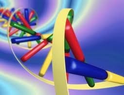 Кислоты органические Селко-pH НЕО Кислоты органические Селко-pH НЕО