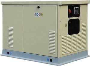Генератор газовый FAS 10 — газогенератор FAS — 11 кВт (220 Вольт)