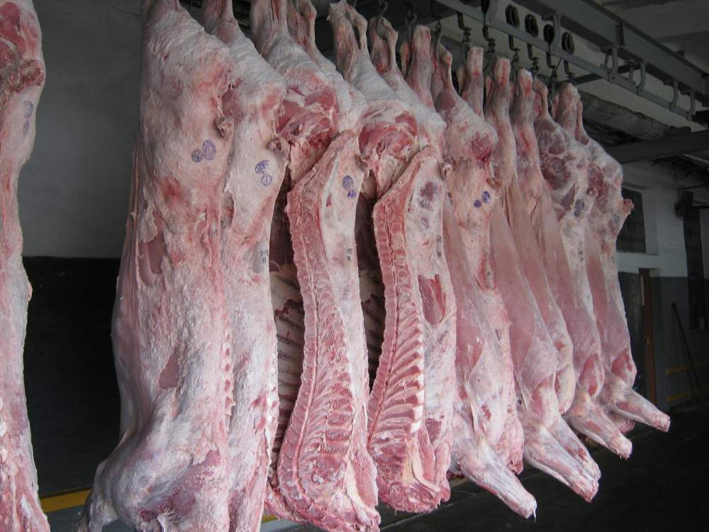 Мясо говядина, свинина, птица, баранина оптом