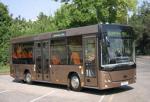 Автобус МАЗ-226