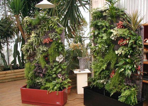 Стабилизированные растения для оформления интерьеров офисов, домов, коттеджей, торговых центров.