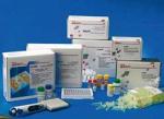 Набор реагентов для диагностики папилломавирусных инфекций РеалБест ДНК ВПЧ 66 комплект 1