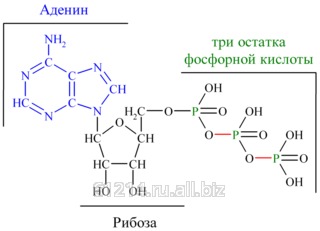 Тест для определения содержания АТФ в воде AQT100