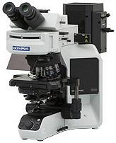 Микроскопы прямые исследовательские Olympus BX53 Микроскопы прямые исследовательские Olympus BX53