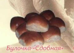 Продукция из сдобного теста Продукция из сдобного теста
