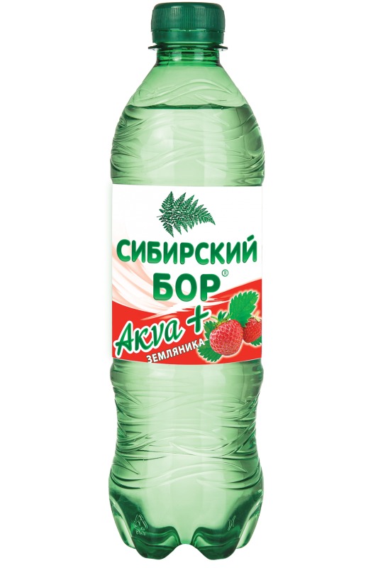 Артезианская вода Сибирский бор