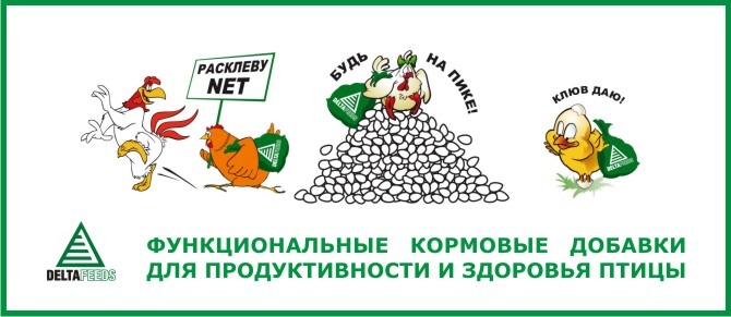 Премиксы (ФКД) для сохранения и восстановления показателей продуктивности и здоровья птицы. Премиксы (ФКД) для сохранения и восстановления показателей продуктивности и здоровья птицы.