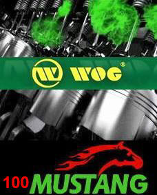 Бензин MUSTANG100 WOG ( ВОГ Мустанг), продажа оптом, топливная карта, заправочные талоны Бензин MUSTANG100 WOG ( ВОГ Мустанг), продажа оптом, топливная карта, заправочные талоны