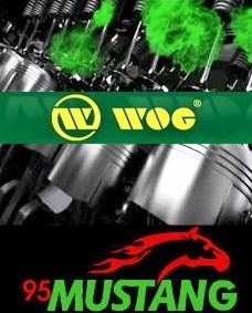 Бензин 95 MUSTANG WOG (ВОГ Мустанг), продажа оптом, топливная карта, заправочные талоны Бензин 95 MUSTANG WOG (ВОГ Мустанг), продажа оптом, топливная карта, заправочные талоны