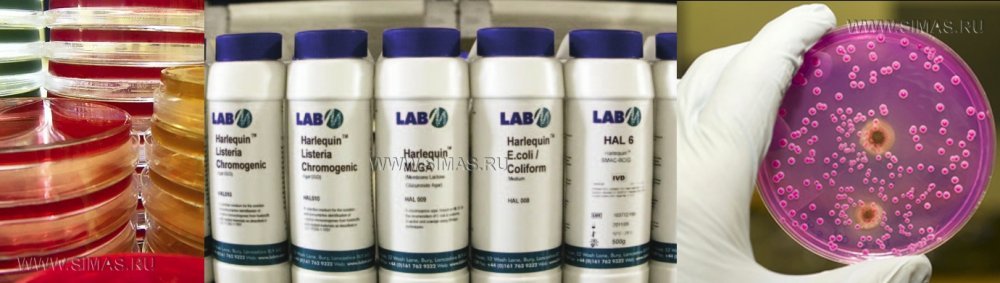 Питательные среды LAB M
