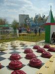 Шашки гигантские