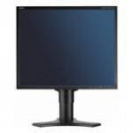 Монитор 19" NEC MultiSync LCD1990SX, black/black, PVA (Чёрный)