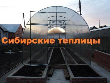 Теплица усиленная Сибирская
