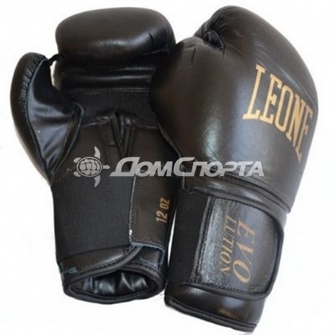 Перчатки тренировочные Leone Evolution кожа GN035