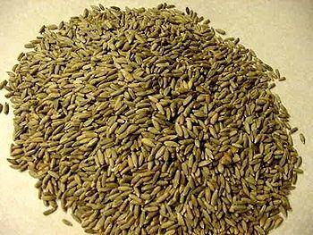 Кормовой зернопродукт ржаной 3 кат Кормовой зернопродукт ржаной 3 кат