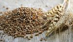 Отруби пшеничные тарные свыше 100 тонн по предоплате