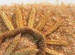 Отруби пшеничные тарные до 100 тонн