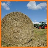 Сеновязальная сетка JUTA NET 1230мм х 2000 п\м Сеновязальная сетка JUTA NET 1230мм х 2000 п\м