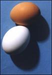 Яйцо столовое 1 и 2 весовой категории