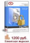 File-PRO - защита файлов произвольного формата и присоединенных файлов в электронной почте
