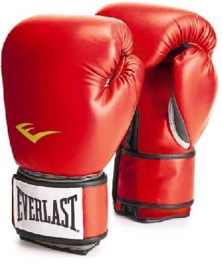 Перчатки тренировочные Everlast PU Pro Style Anti-MB