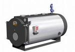 Котлы со сменными горелками для работы на газе - Раздел: Отопительная техника