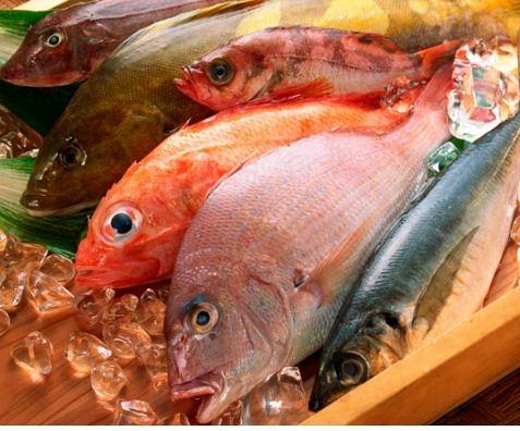 Рыба. Рыбная продукция весовая, купить от производителя Украина