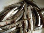 Рыба соленая, Сельдь с/с вес, купить от производителя Украина