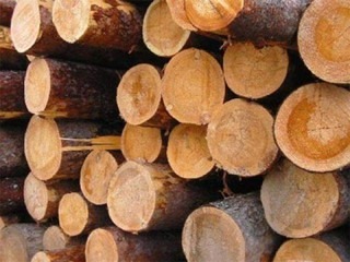 Сырье древесное