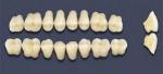 Зубы синтетические акриловые "Primodent", "Сross Linked 2", «Basic»