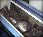 Мини-заводы по переработке ягод