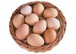 Яйца куриные товарные