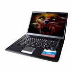 Ноутбук RoverBook Pro 554VHB GS