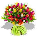 Букет «Разноцветные тюльпаны»