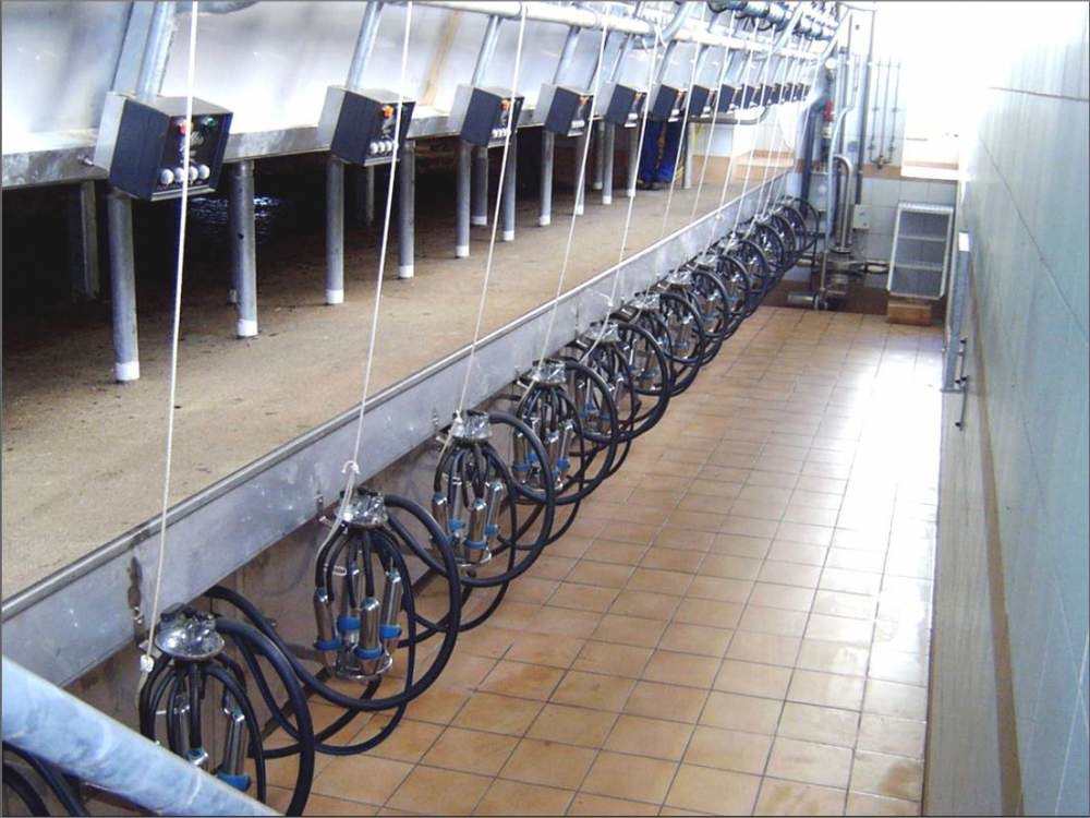 Агрегаты доильные (молокопроводы на 100. 200 коров и более)