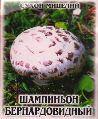 Сухой мицелий Сухой мицелий