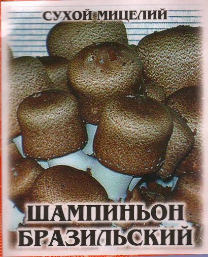 Сухой мицелий Сухой мицелий